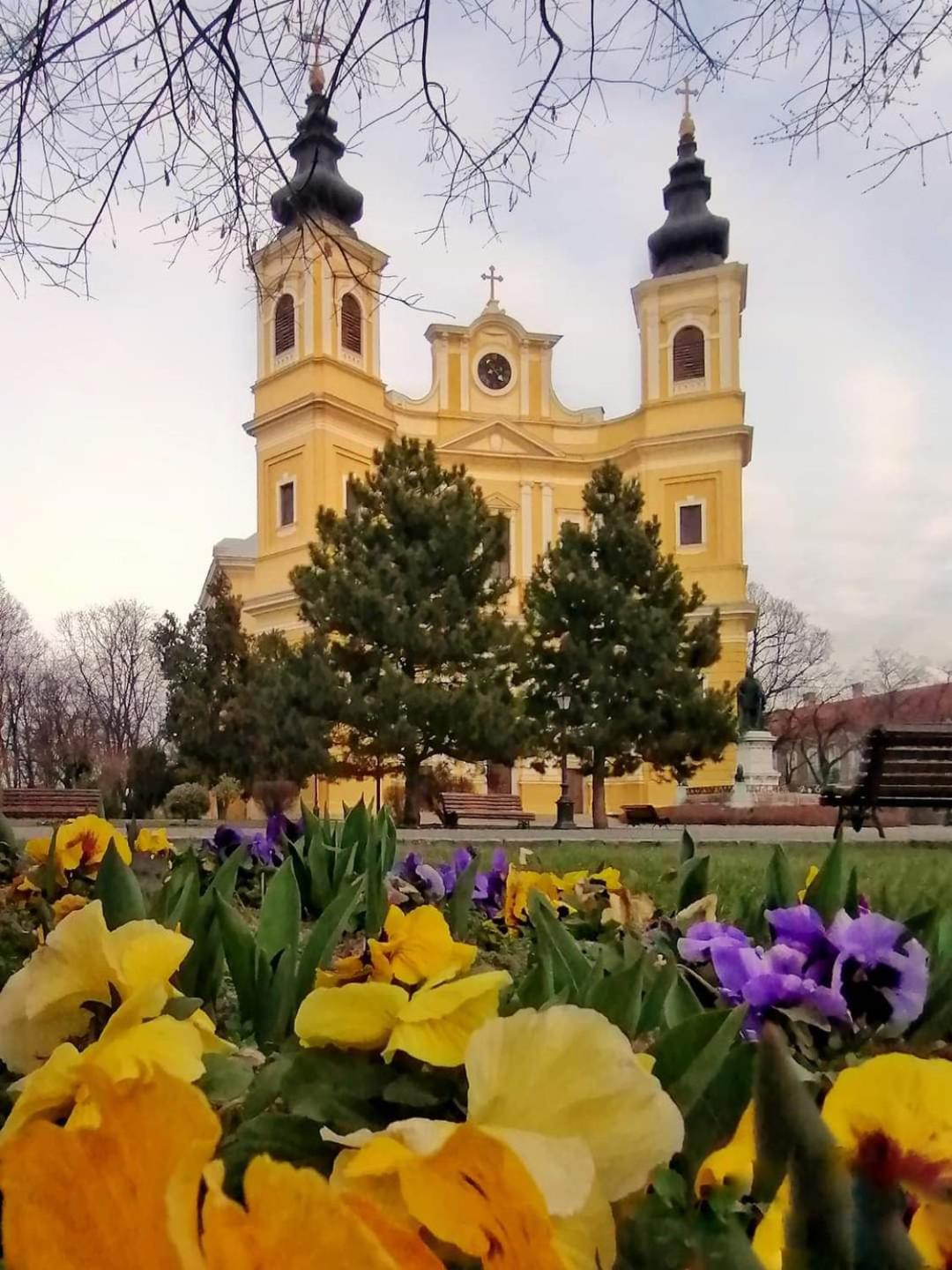 Alia Apartment Oradea Luaran gambar